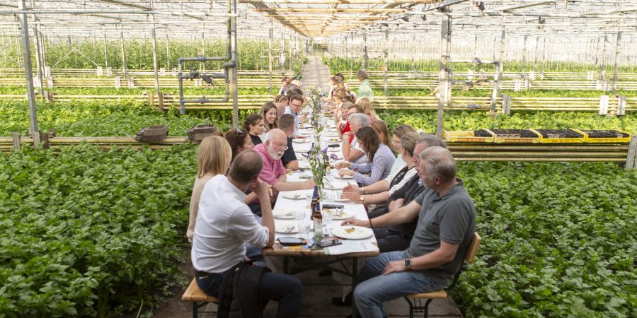 CaringDiner099