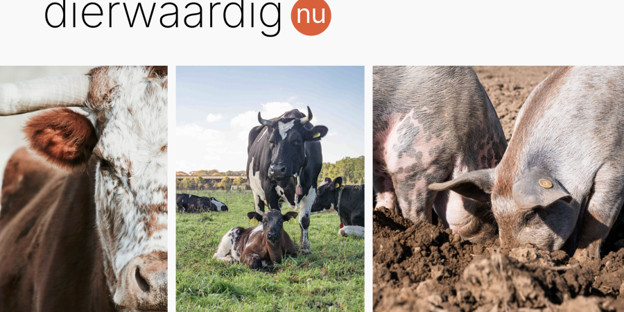 Dierwaardig Nu logo met afbeeldingen